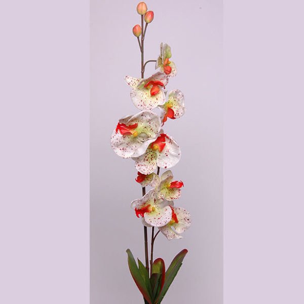 Krem Yapay Phalaenopsis Orkide Dalı