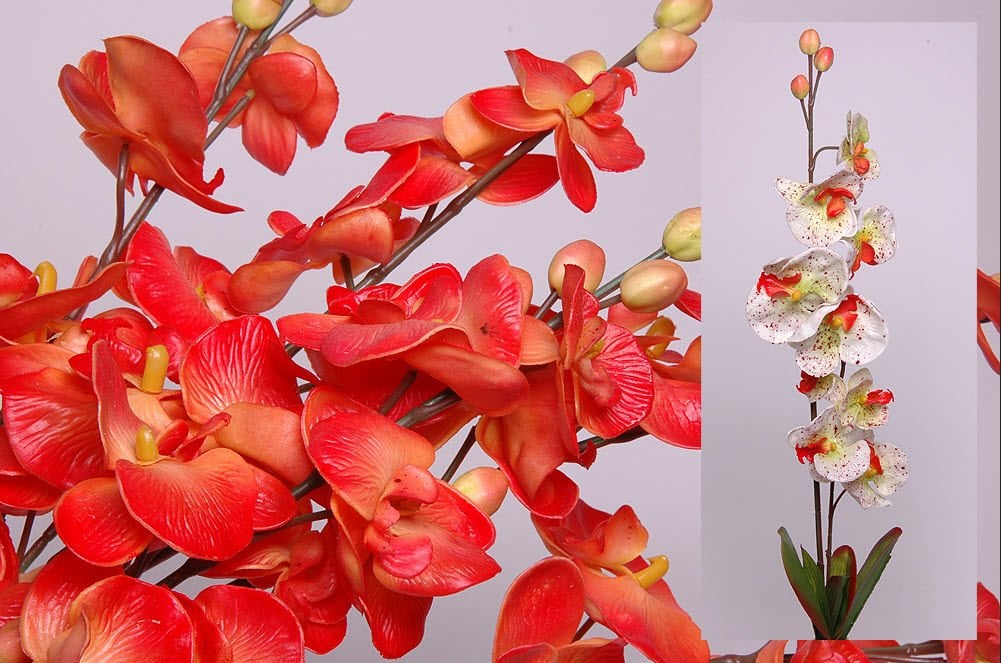 Krem Yapay Phalaenopsis Orkide Dalı