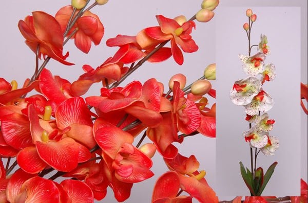 Krem Yapay Phalaenopsis Orkide Dalı
