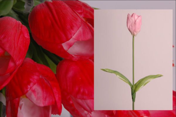 Lale - Pembe