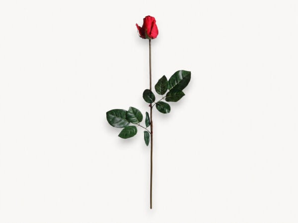 Kırmızı Yapay Gül 72 cm – 701