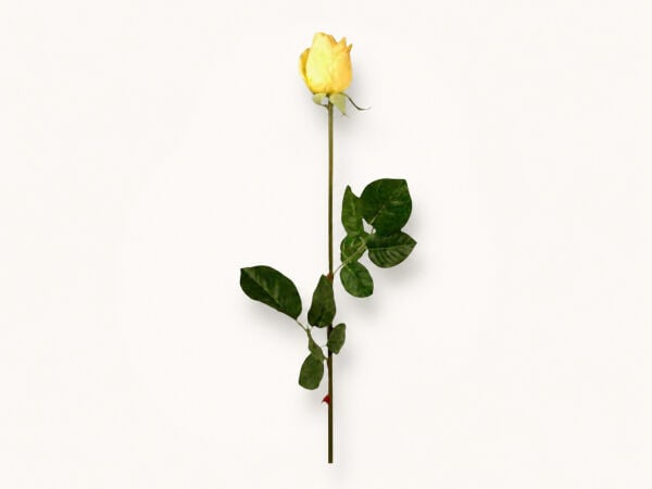 Sarı Yapay Gül 72 cm – 701