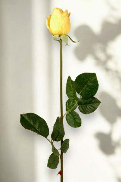 Yapay Çiçek Gül 72cm Sarı