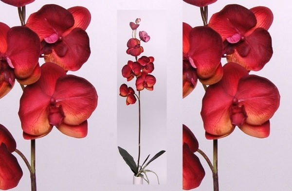 140 cm Phalaenopsis Yapay Orkide - Kırmızı