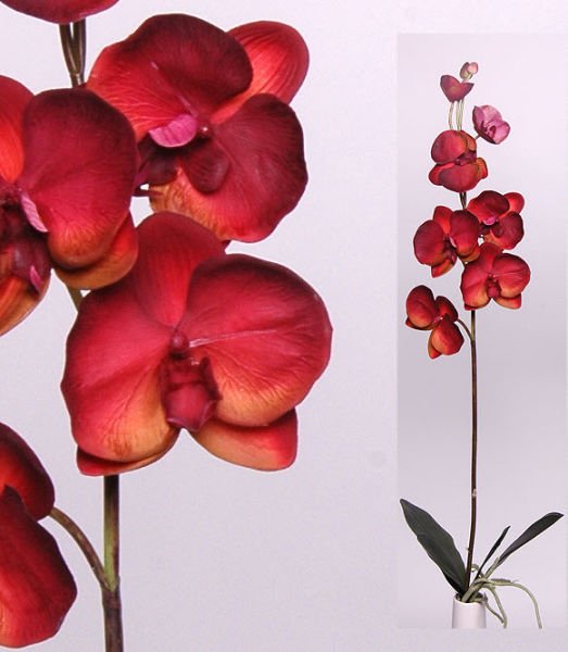 Yapay Çiçek Orkide Phalaenopsis 140cm