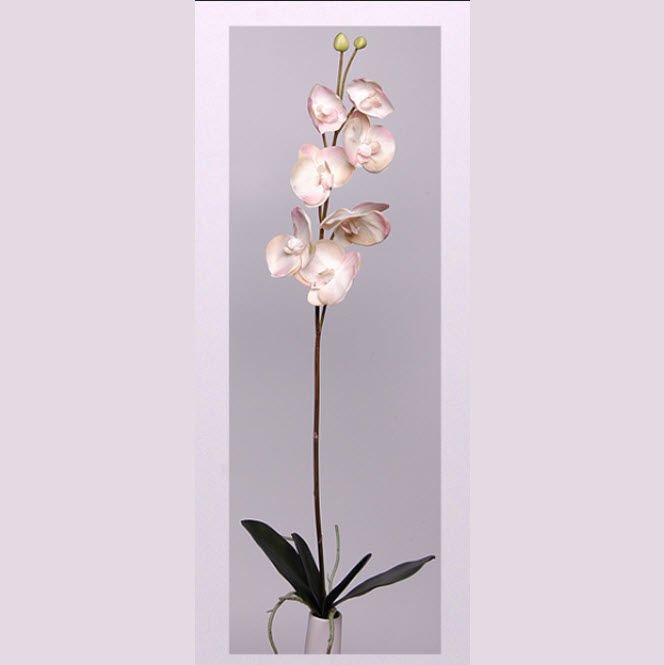 Yapay Çiçek Orkide Phalaenopsis 140cm
