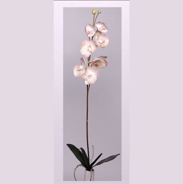 Yapay Çiçek Orkide Phalaenopsis 140cm