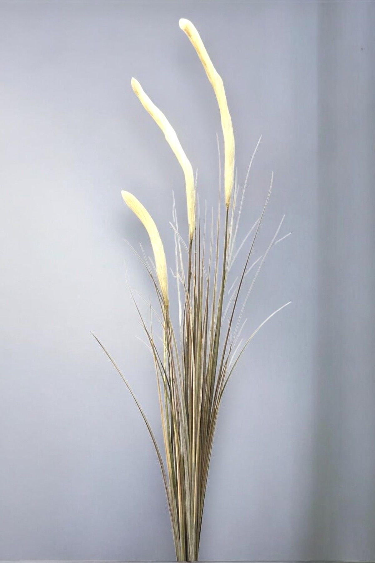 İthal Yapay Sazlık Pampas 140 cm - Krem
