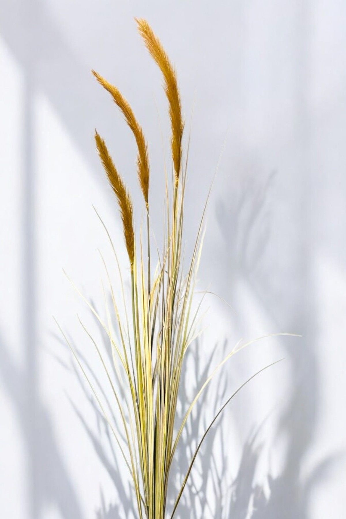 İthal Yapay Pampas Foxtail Grass Brown 140cm