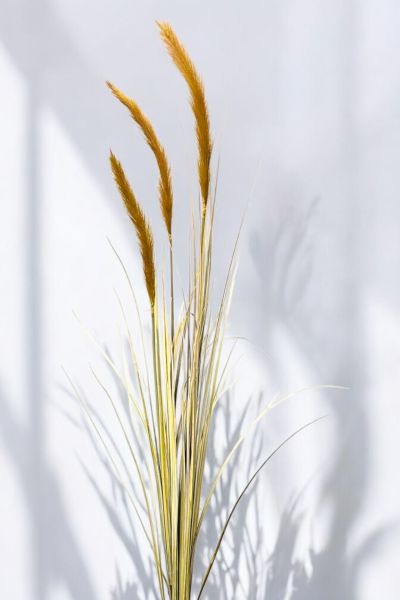 İthal Yapay Pampas Foxtail Grass Brown 140cm