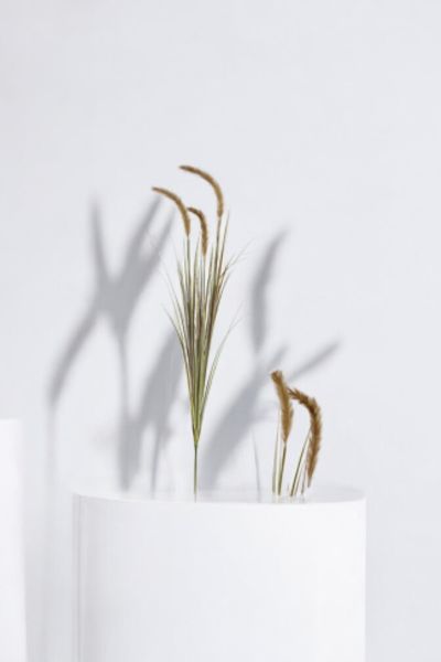 İthal Yapay Pampas Foxtail Grass Brown 140cm
