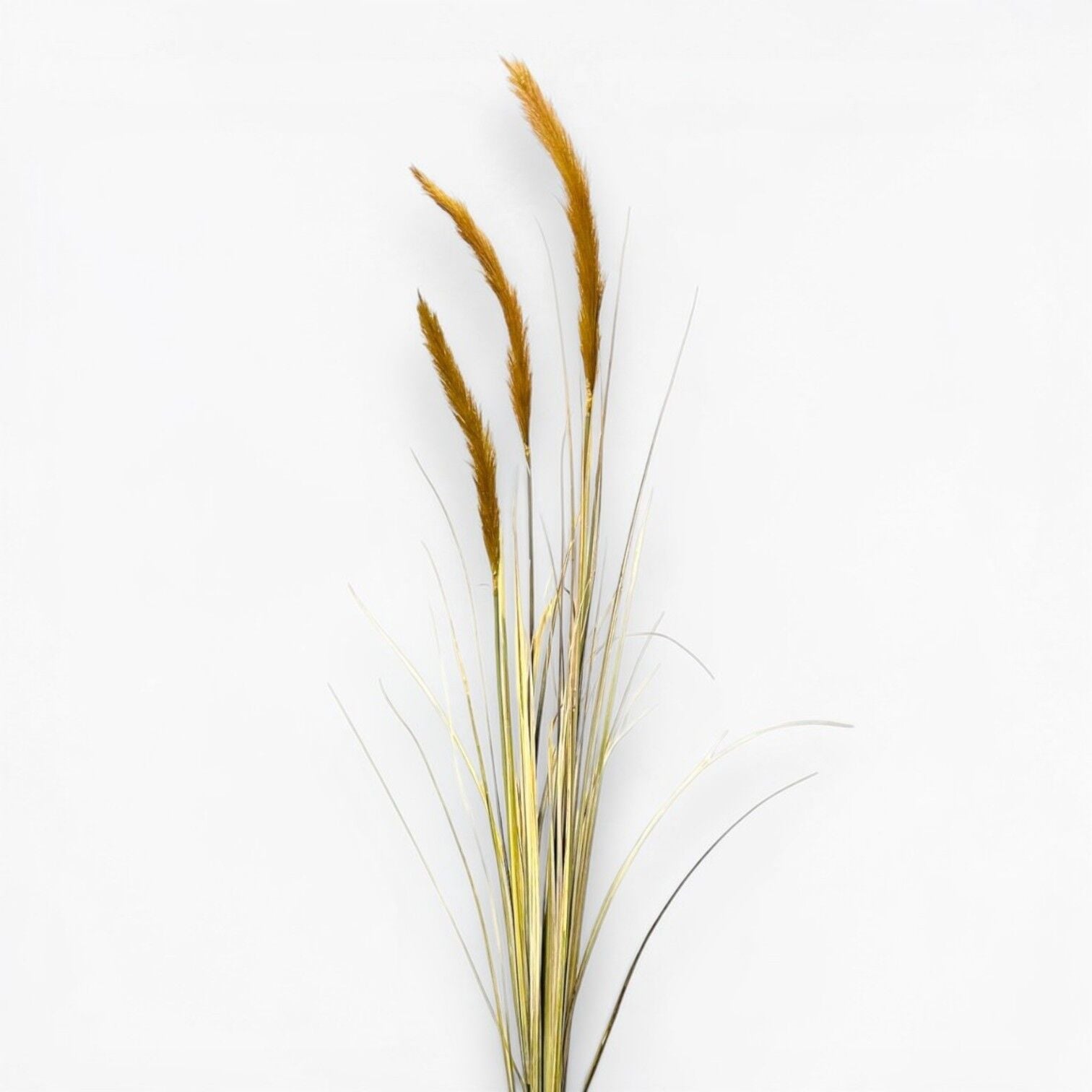 İthal Yapay Pampas Sazlık 140 cm - Kahverengi