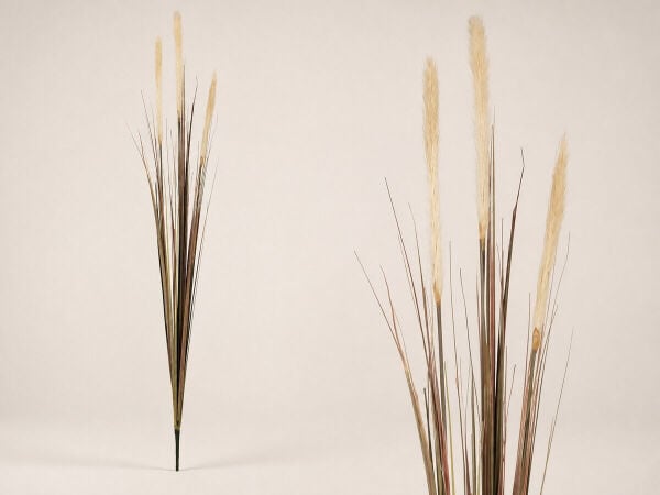 Yapay Pampas Otu Krem Püsküllü 140 cm – Uzun Vazo Çiçeği