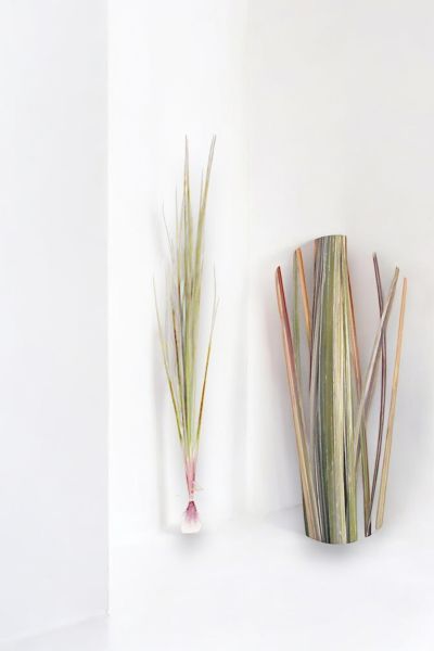 İthal Yapay Pampas Lavender Grass & Cattail 138cm