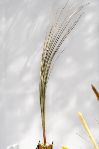 İthal Yapay Pampas Lavender Grass & Cattail 138cm