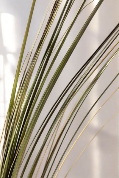 İthal Yapay Pampas Lavender Grass & Cattail 108cm