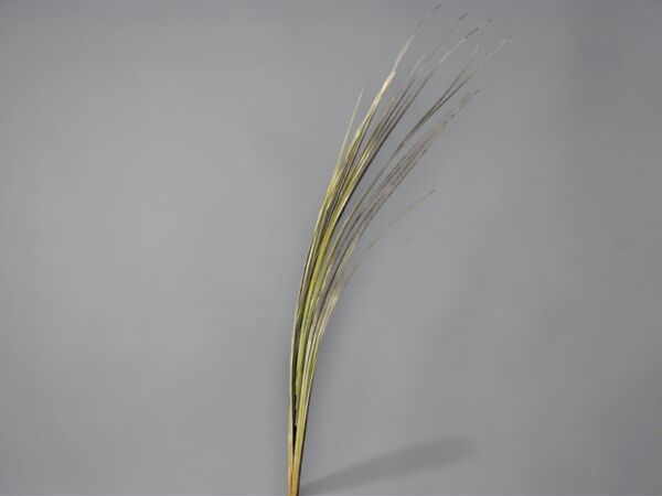 İthal Yapay Pampas Sazlık 108 cm - Lavender Grass