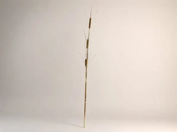 Yapay Sazlık Cattail Bitkisi 183 cm