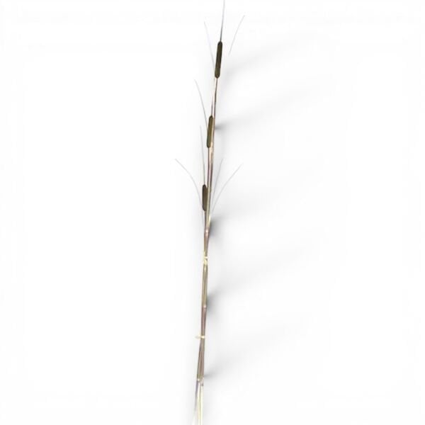 İthal Yapay Cattail Sazlık 183 cm - Kahverengi