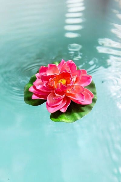 Yapay Nilüfer Lotus Çiçeği 21 cm Pembe