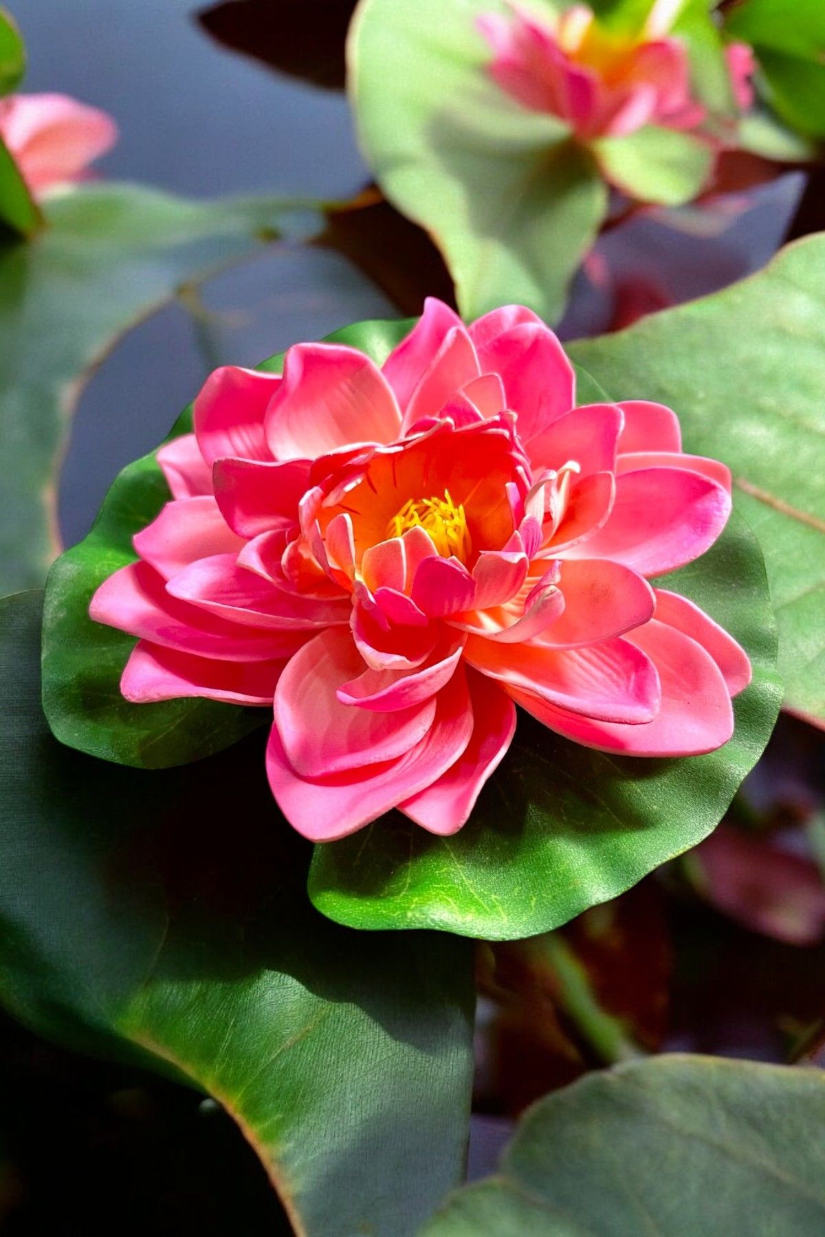 Yapay Nilüfer Çiçeği Lotus Pembe 21cm