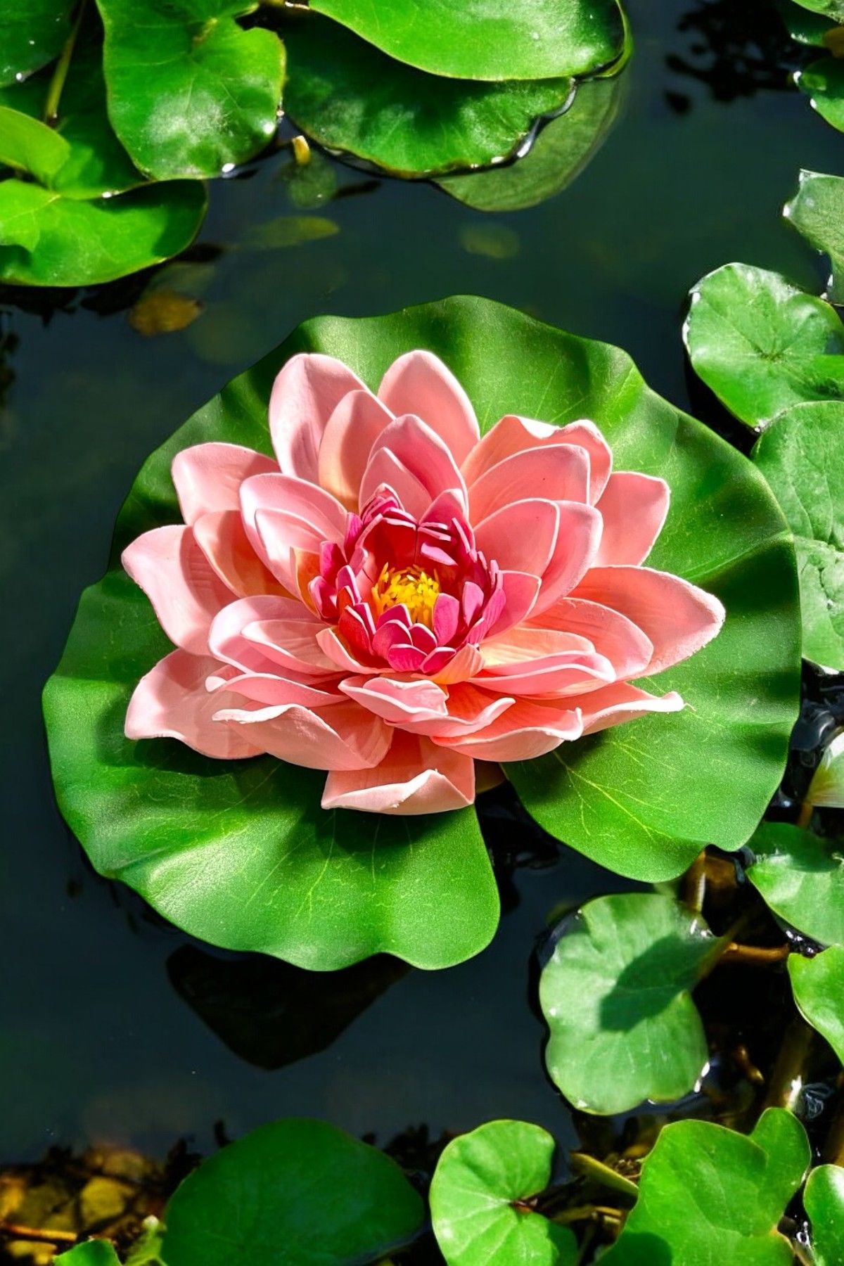 Yapay Nilüfer Çiçeği Lotus Pudra Pembe 21cm