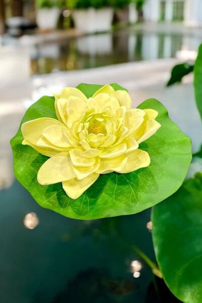 Yapay Nilüfer Lotus Çiçeği 15 cm Krem