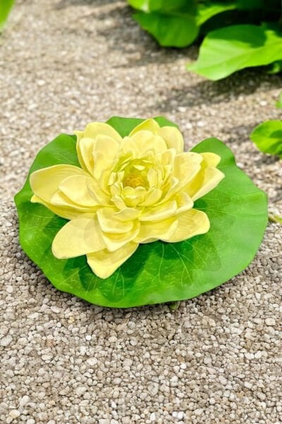 Yapay Nilüfer Lotus Çiçeği 15 cm Krem