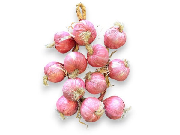 Yapay Soğan Salkımı 65cm 12'li Yapay Soğan Dalı