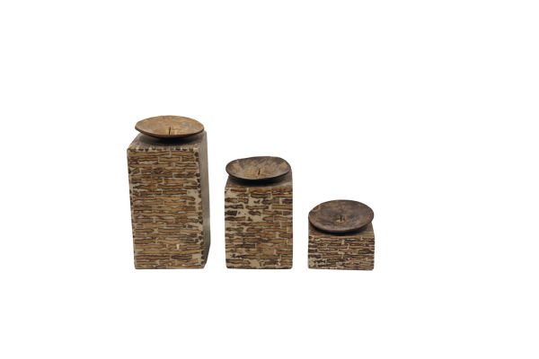 Annapark Coconut Tealight Mumluk 3'lü Set Papua