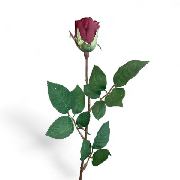 Gül Bordo 65cm