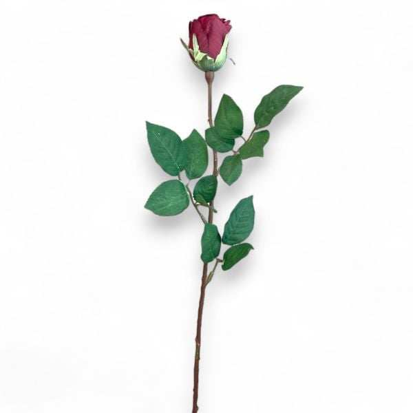 Gül Bordo 65cm
