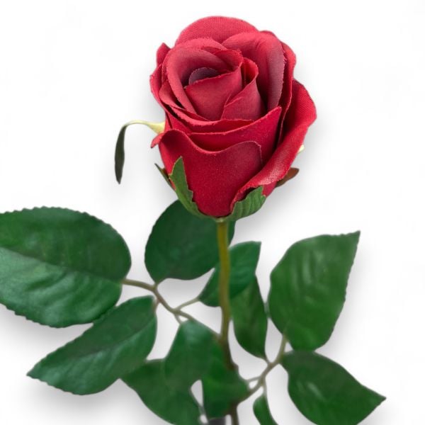 Gül Kırmızı 65cm