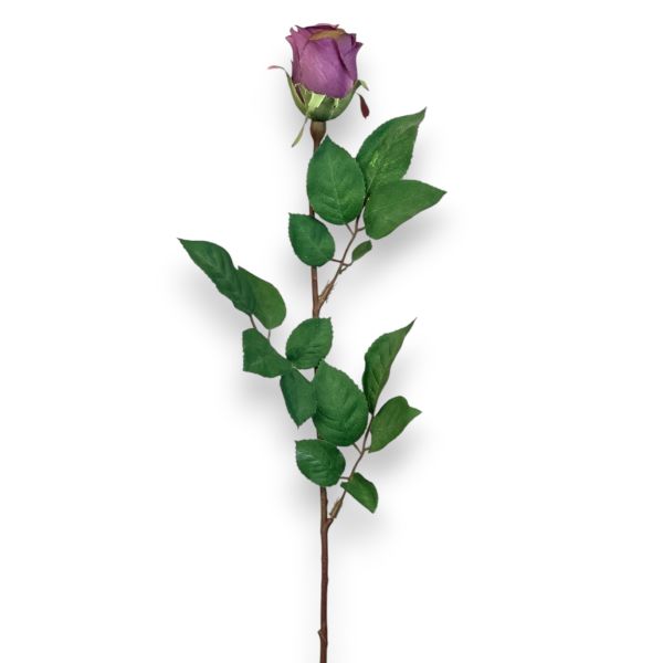 Gül Mor 65cm