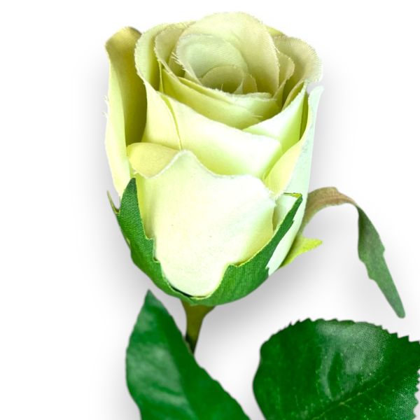 Gül Koyu Krem 65cm