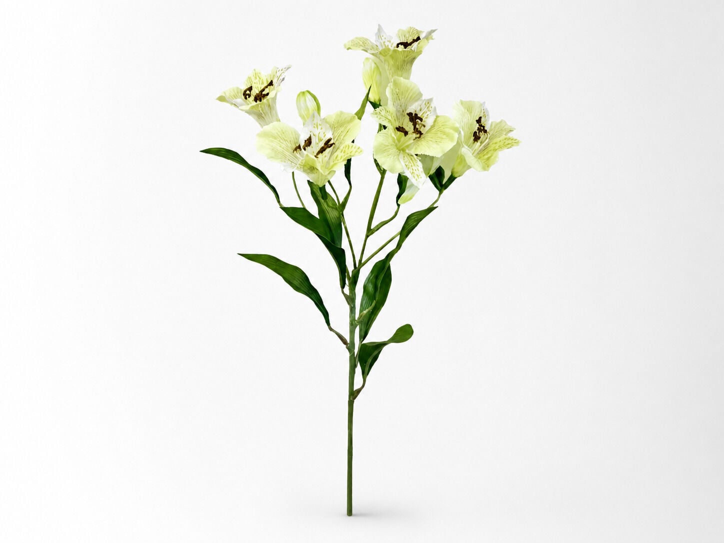 Yapay Peru Zambağı 65 cm Krem