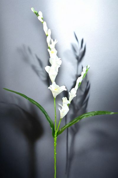 Yapay Frezya Beyaz 75cm