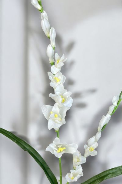 Yapay Frezya Beyaz 75cm