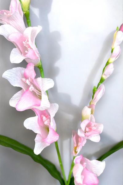 Yapay Frezya Pembe 75cm