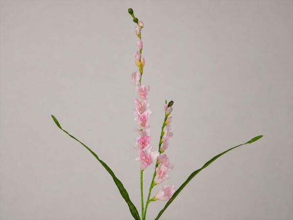 Yapay Glayöl Çiçeği Pembe 75 cm | Uzun Vazo Çiçeği