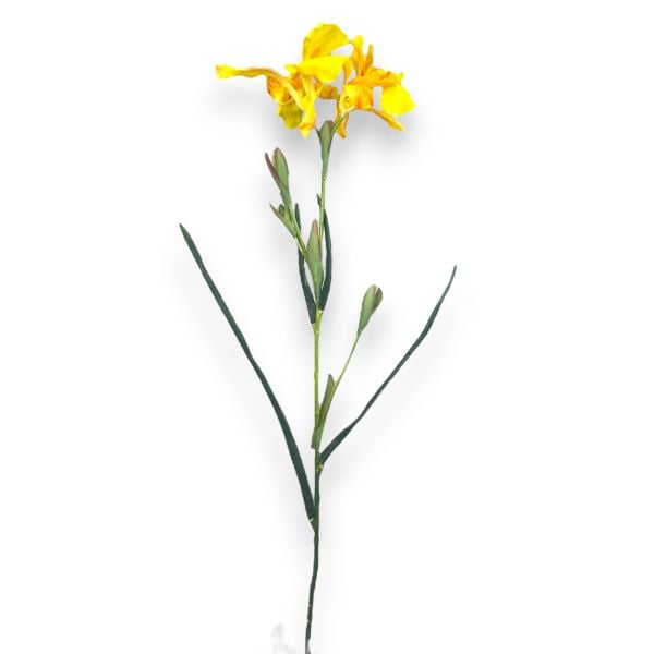 İris Süsen Sarı 70cm
