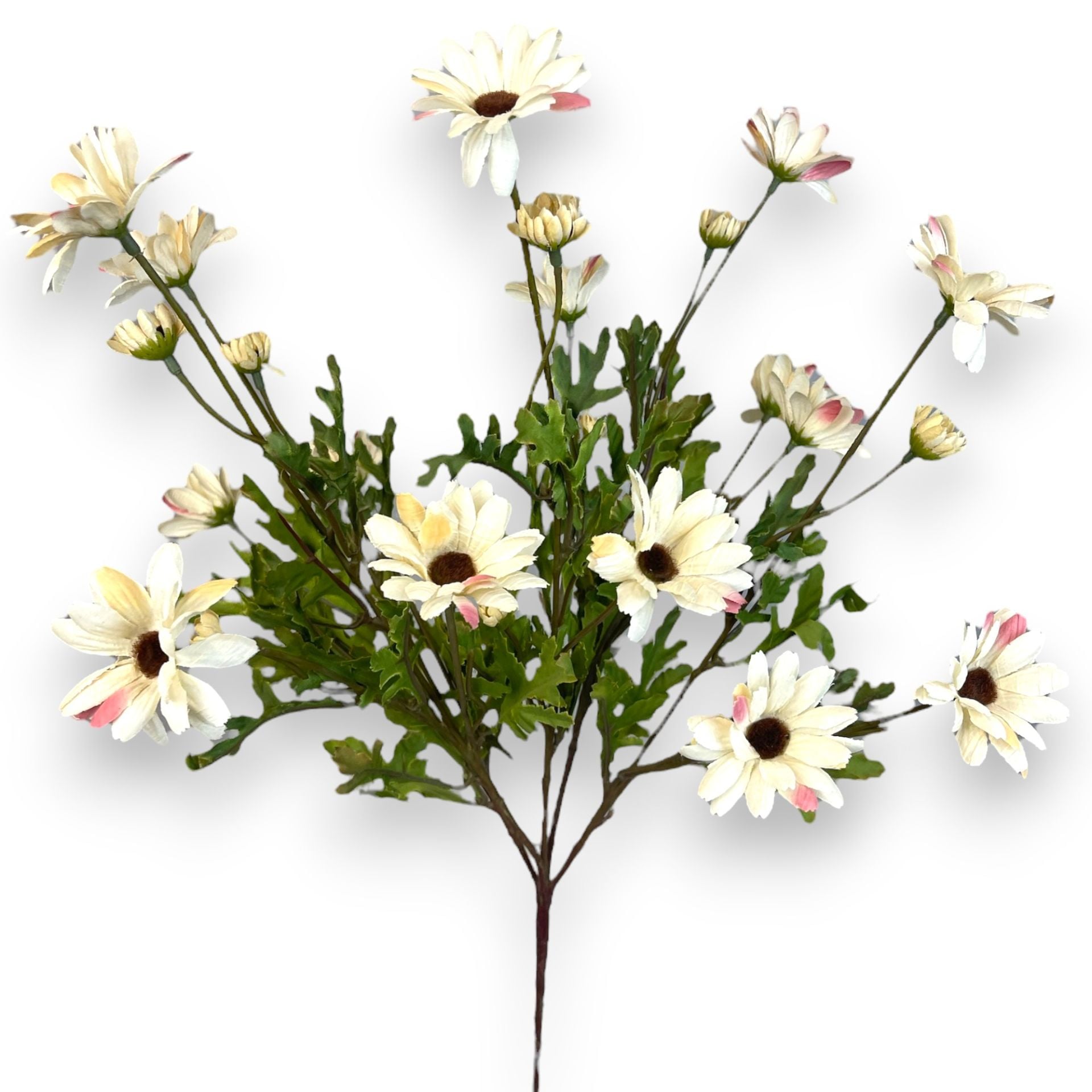 Yapay Papatya Gerbera Demeti Krem
