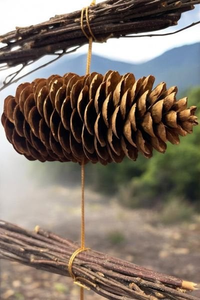 Duvar Dekoru Kapı Süsü Garland Handmade Natural Kozalak 150cm