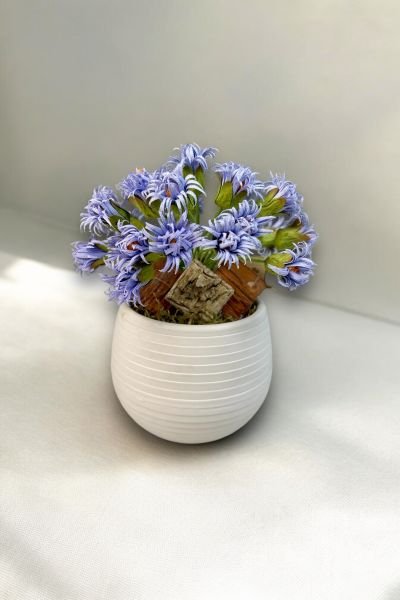 Dekoratif Aranjman Elegance