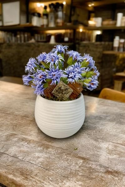 Dekoratif Aranjman Elegance