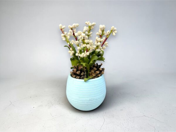 Saksılı Yapay Mimoza ve Kozalak Aranjmanı Beyaz 18 cm