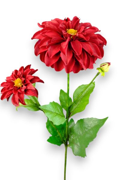 Dahlia Yıldız Çiçeği 60cm Kırmızı