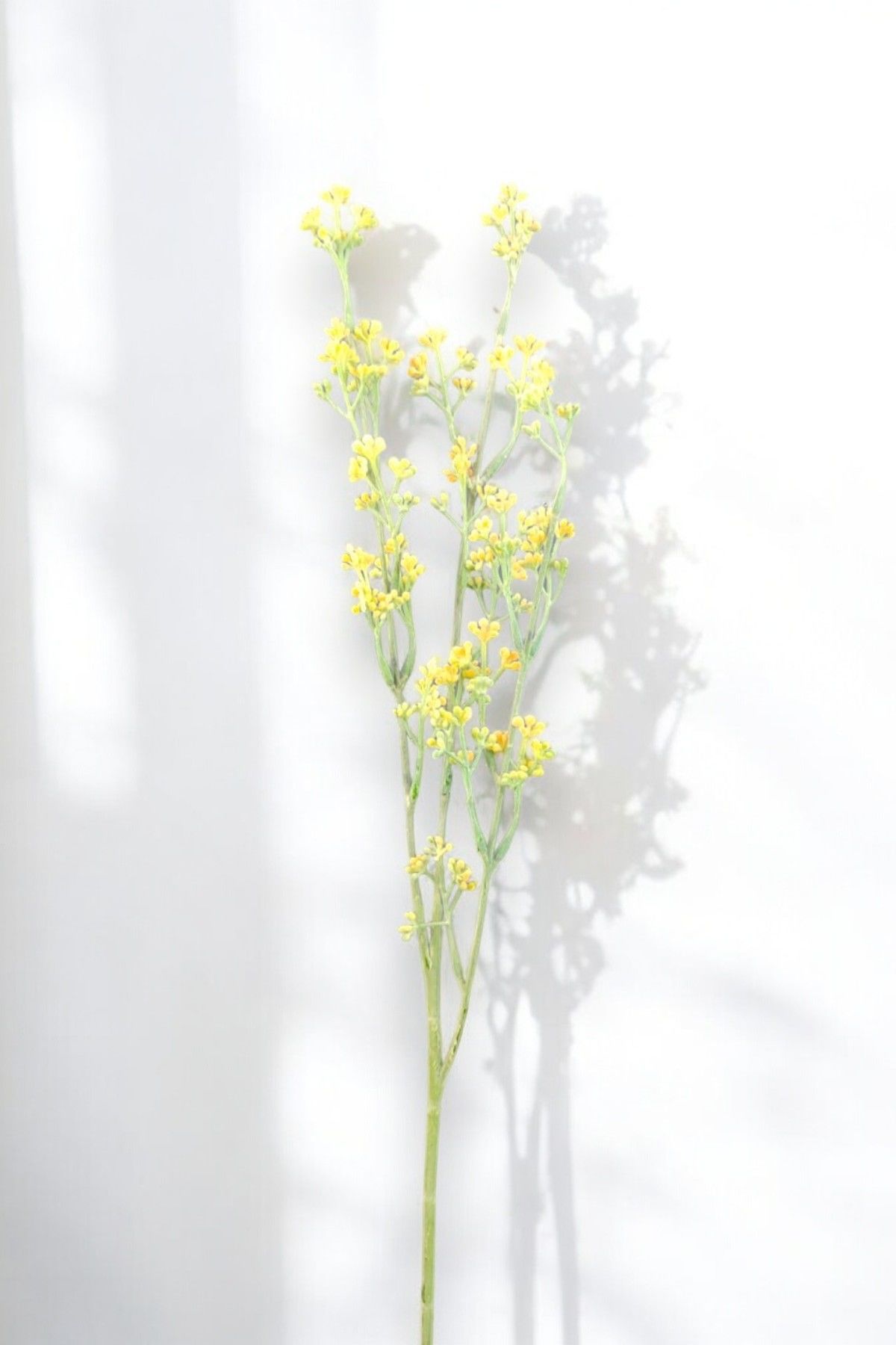 Bahar Çiçeği 72cm Sarı