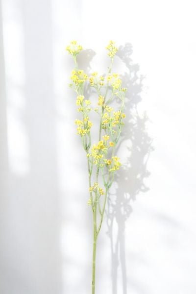 Bahar Çiçeği 72cm Sarı