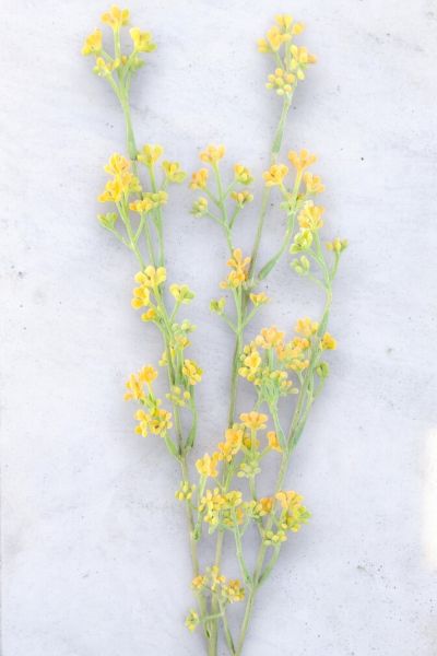 Bahar Çiçeği 72cm Sarı